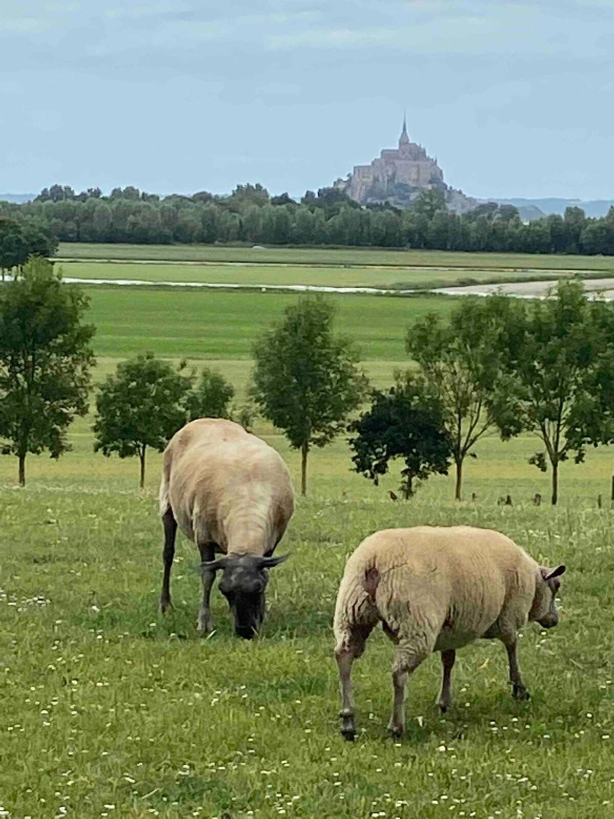 Gites Le Mont Desclos Saint Michel Beauvoir  Pokój zdjęcie